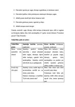 Prakses atskaite 'Kvalifikācijas prakse pirmsskolā', 11.