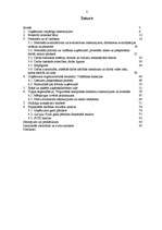 Prakses atskaite 'Profesionālās prakses pārskats', 2.