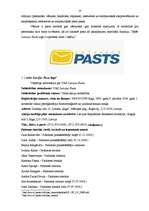 Prakses atskaite 'Profesionālās prakses pārskats', 10.