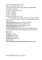 Prakses atskaite 'Profesionālās prakses pārskats', 11.