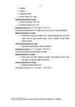 Prakses atskaite 'Profesionālās prakses pārskats', 13.