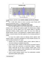 Prakses atskaite 'Profesionālās prakses pārskats', 19.