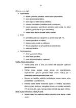 Prakses atskaite 'Profesionālās prakses pārskats', 24.