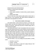 Prakses atskaite 'Profesionālās prakses pārskats', 30.