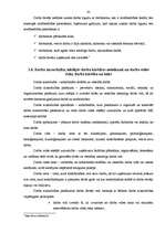 Prakses atskaite 'Profesionālās prakses pārskats', 42.