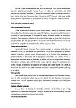 Prakses atskaite 'Profesionālās prakses pārskats', 56.