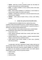 Prakses atskaite 'Profesionālās prakses pārskats', 76.