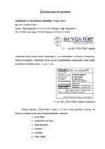 Referāts 'Cilvēku resursu izmantošana uzņēmumā "Vīza-Tūrs"', 5.