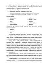 Referāts 'Cilvēku resursu izmantošana uzņēmumā "Vīza-Tūrs"', 9.