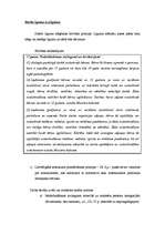 Konspekts 'Darba līgums', 2.