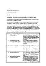 Konspekts 'Prakses atskaite', 3.