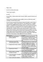 Konspekts 'Prakses atskaite', 13.