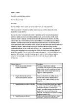 Konspekts 'Prakses atskaite', 17.