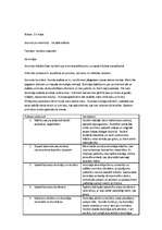 Konspekts 'Prakses atskaite', 25.