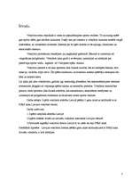 Referāts 'Volejbola attīstība PSRS laikā un mūsdienās', 3.