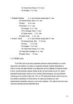 Referāts 'Volejbola attīstība PSRS laikā un mūsdienās', 33.