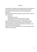 Referāts 'Volejbola attīstība PSRS laikā un mūsdienās', 39.