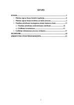 Referāts 'Personas tiesību aizsardzība rajona tiesā', 2.