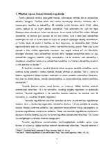 Referāts 'Personas tiesību aizsardzība rajona tiesā', 4.