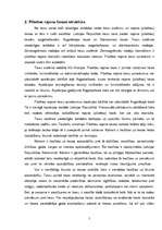 Referāts 'Personas tiesību aizsardzība rajona tiesā', 7.