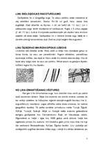 Referāts 'Lini, to raksturojums, iegūšanas vēsture un pielietojums mūsdienās', 3.