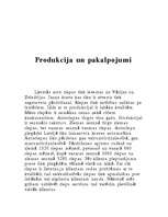 Biznesa plāns 'Autoriepas', 5.