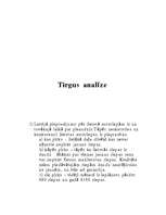 Biznesa plāns 'Autoriepas', 8.