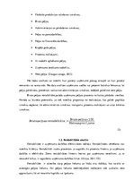 Referāts 'SIA "Norde" peļņas un rentabilitātes analīze', 7.