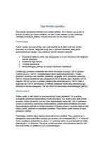 Referāts 'Procesors', 11.