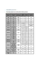 Referāts 'Procesors', 13.