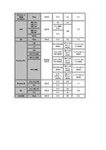 Referāts 'Procesors', 14.