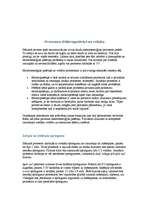 Referāts 'Procesors', 15.