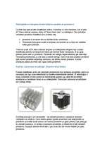 Referāts 'Procesors', 19.