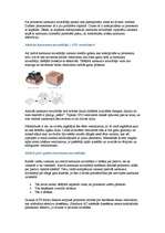 Referāts 'Procesors', 20.