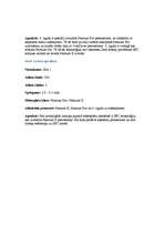 Referāts 'Procesors', 31.