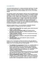 Referāts 'Procesors', 92.