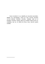 Referāts 'Kristofors Kolumbs', 5.