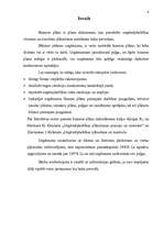 Biznesa plāns 'Uzņēmuma SIA "Ariana” biznesa plāns', 4.