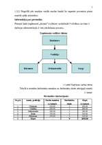 Biznesa plāns 'Uzņēmuma SIA "Ariana” biznesa plāns', 7.