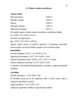 Biznesa plāns 'Uzņēmuma SIA "Ariana” biznesa plāns', 24.