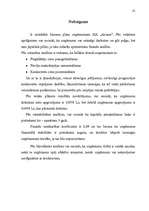 Biznesa plāns 'Uzņēmuma SIA "Ariana” biznesa plāns', 25.