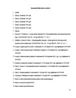Referāts 'Dzīves kvalitātes salīdzinājums', 33.