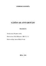 Referāts 'Projekts: gājējs ar atstarotāju', 1.