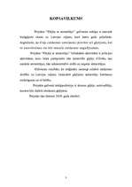 Referāts 'Projekts: gājējs ar atstarotāju', 3.