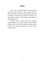 Referāts 'Projekts: gājējs ar atstarotāju', 7.