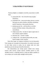 Referāts 'Projekts: gājējs ar atstarotāju', 16.