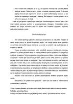 Referāts 'Saskarsmes problēmas pubertātes periodā, to izvērtēšana', 8.