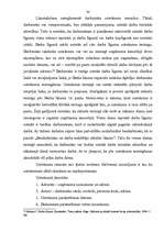 Referāts 'Darba līgumi', 34.