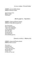 Konspekts 'Baktērijas', 4.