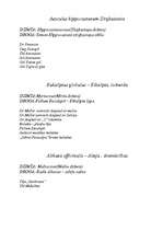 Konspekts 'Baktērijas', 13.